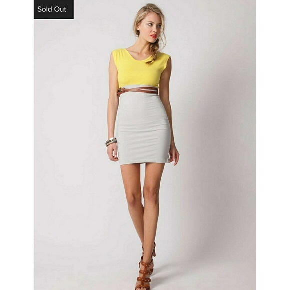 American Apparel Dresses & Skirts - AA Spandex Jersey two tone Bodycon Mini Dress